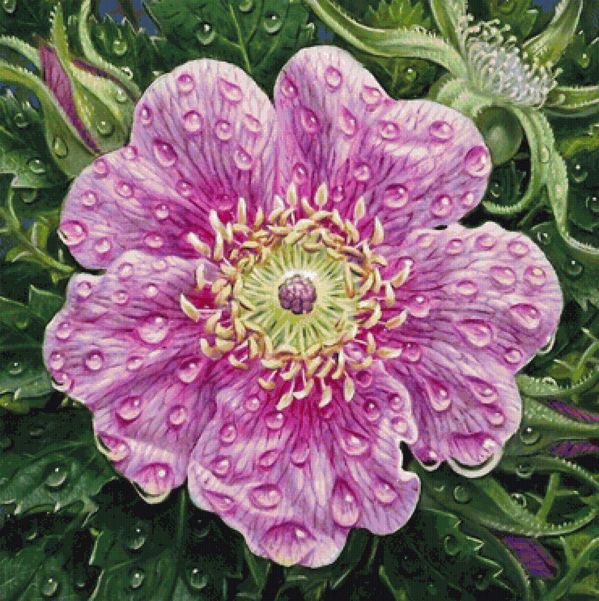 №1616826 - предпросмотр