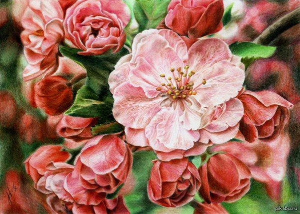 Цветение - оригинал