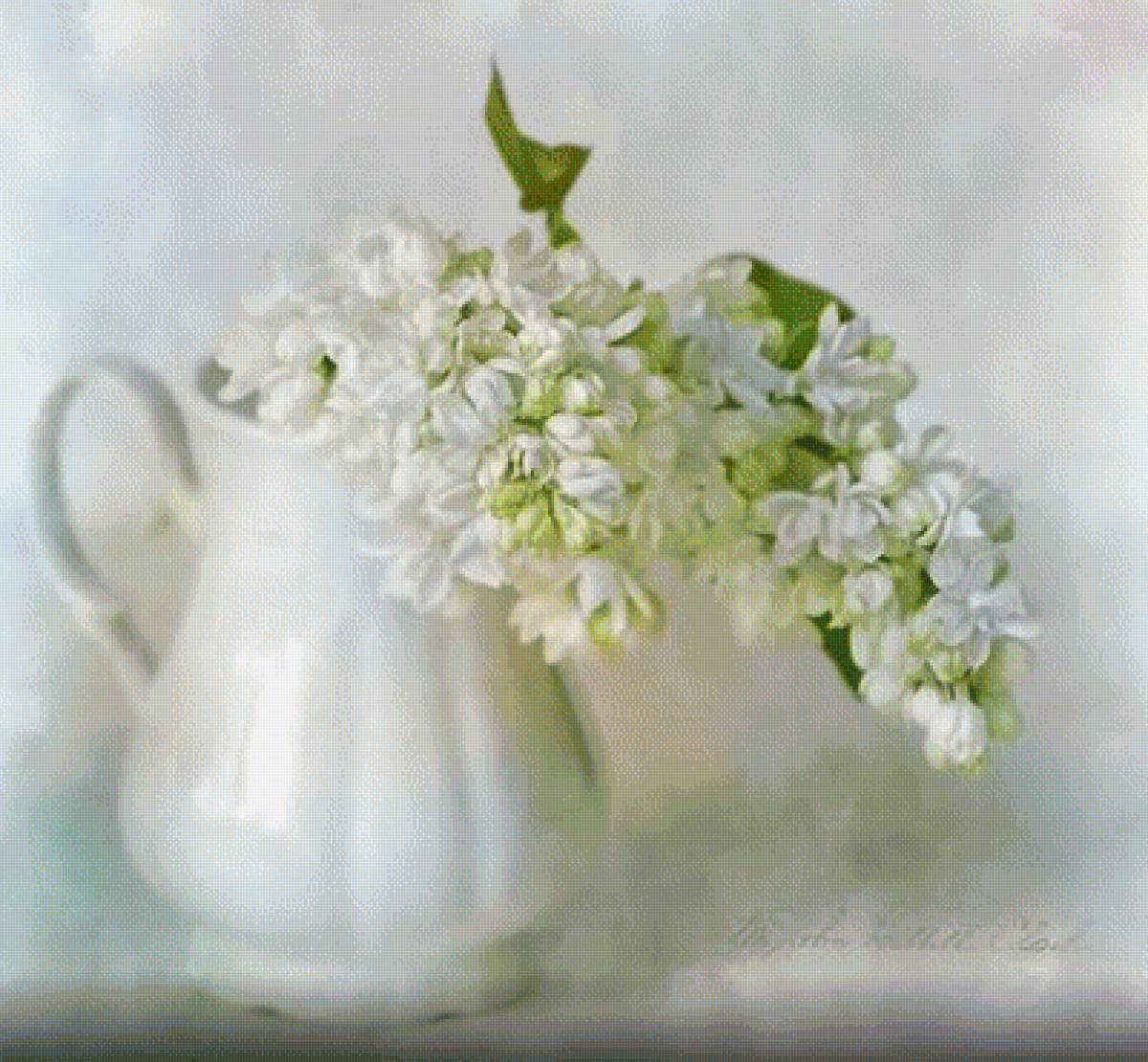 СИРЕНЬ - сирень - предпросмотр