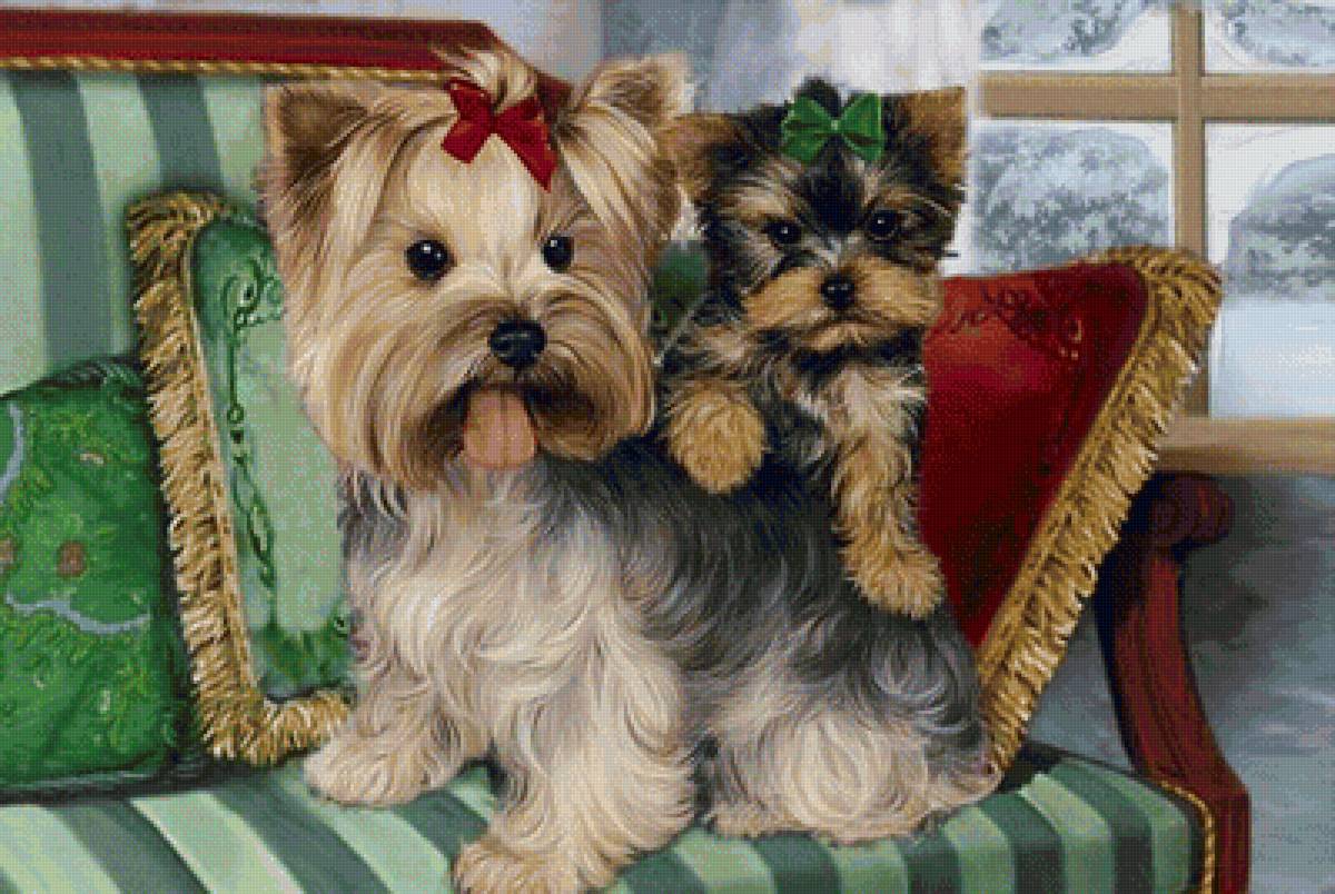 Друзья - картина, собаки - предпросмотр