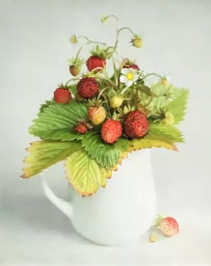 НАТЮРМОРТ С ЯГОДАМИ - натюрморт с ягодами - оригинал