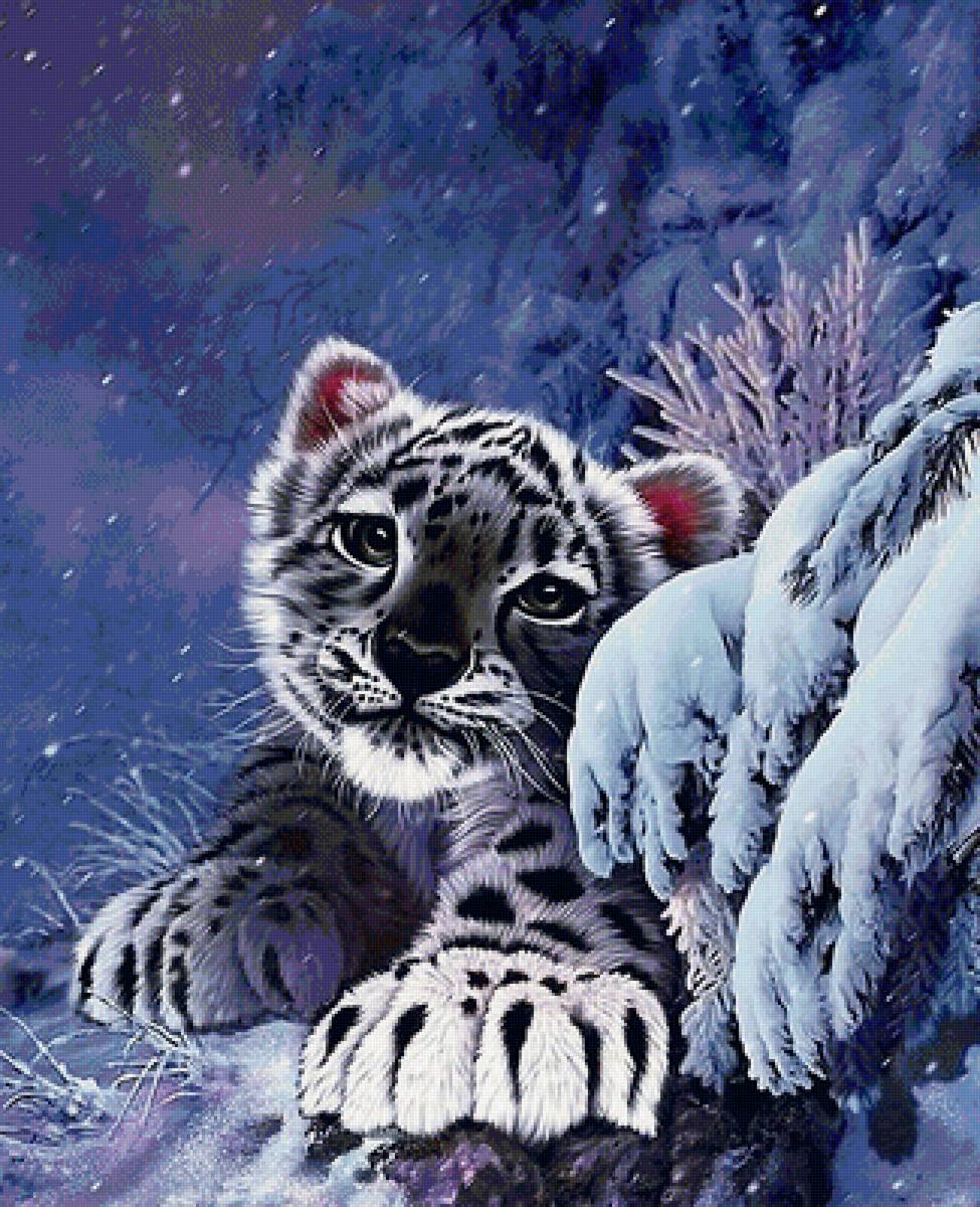 Барс - животные - предпросмотр