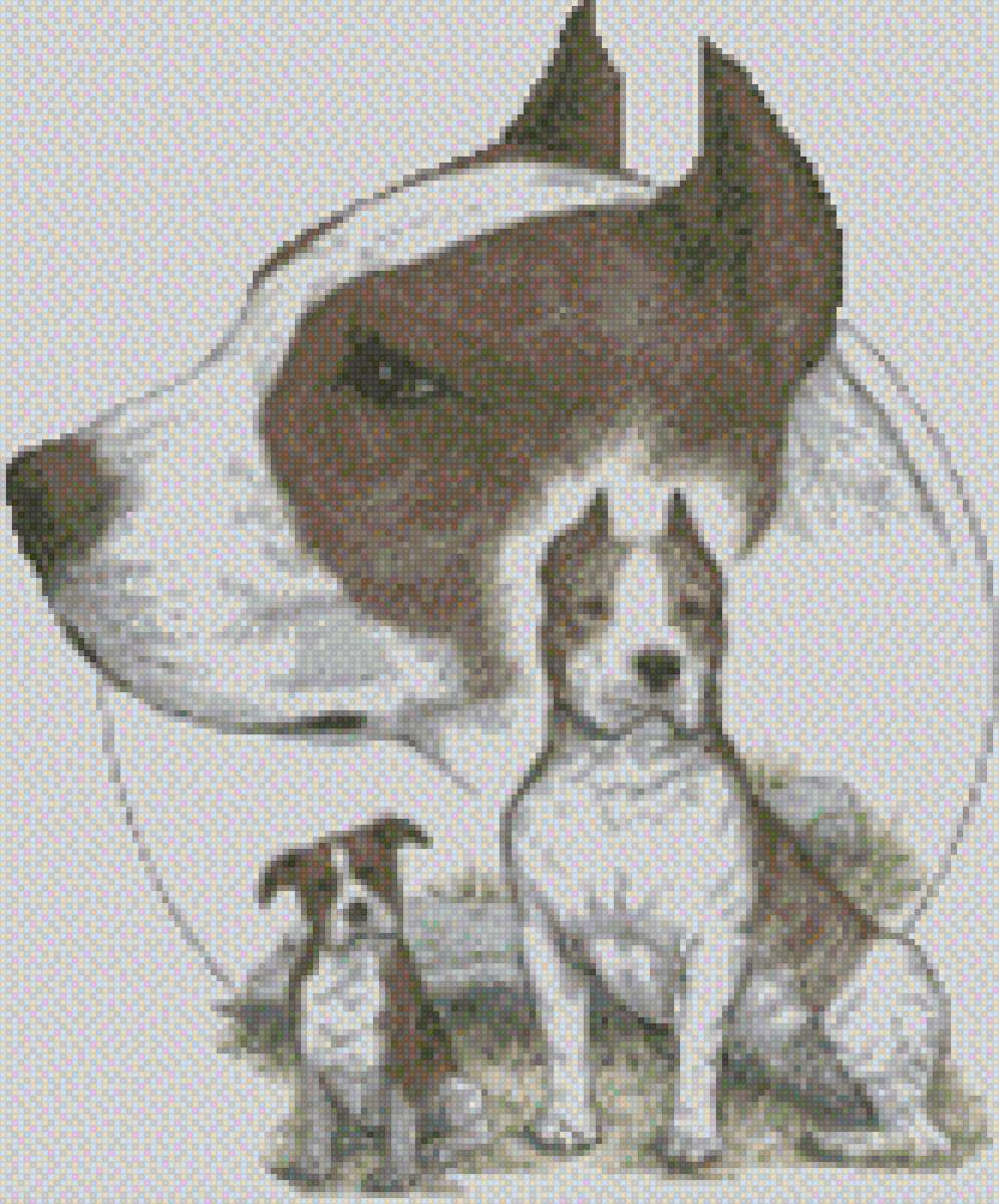 собака - ам.стафф, собака, щенок, амстафф, стаффорды, стафф терьера, (аст) - предпросмотр