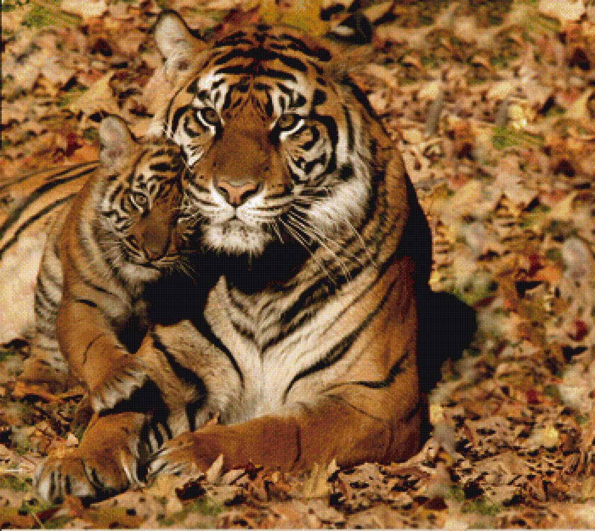 семейство - предпросмотр