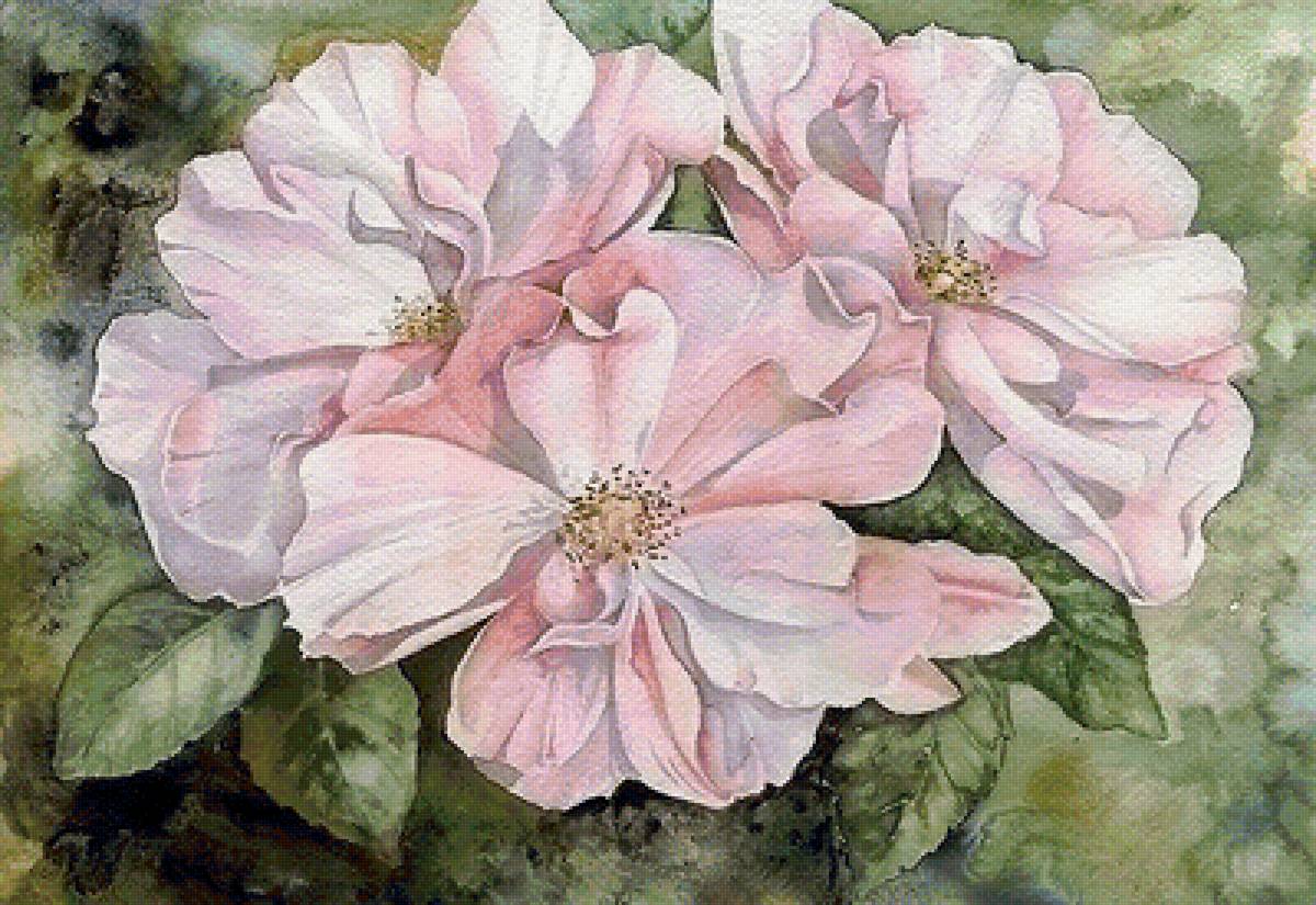 №1617049 - предпросмотр