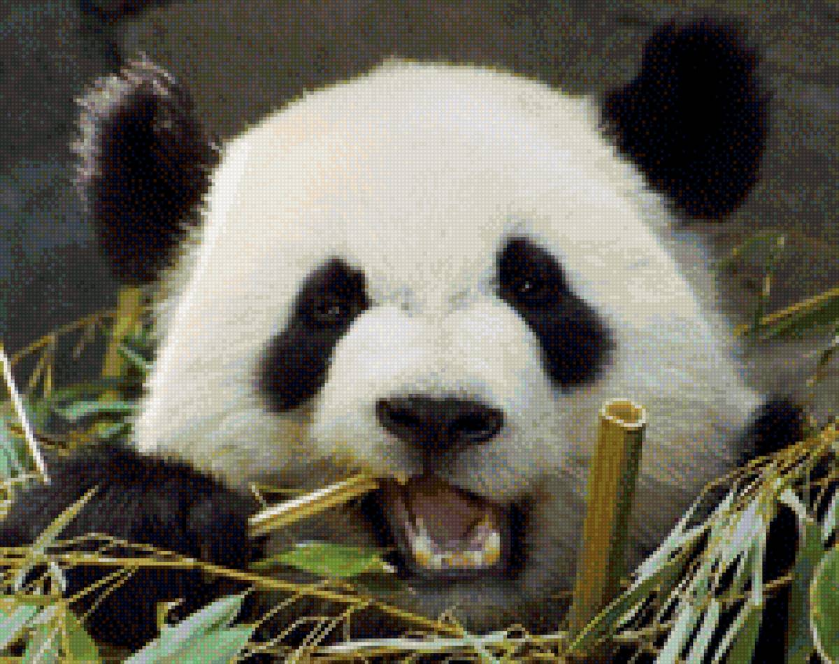 Панда палка - предпросмотр