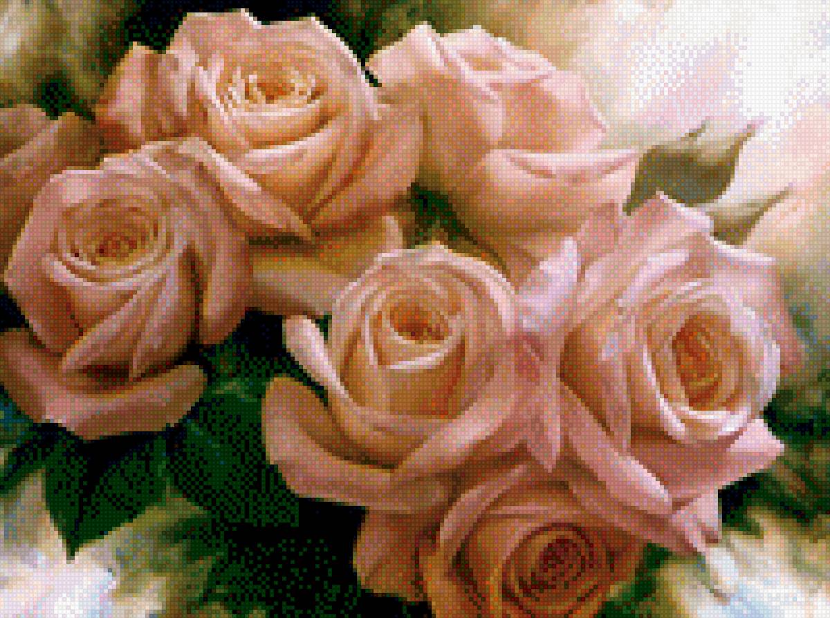 Пудровые розы - букет, розы, цветы, природа - предпросмотр