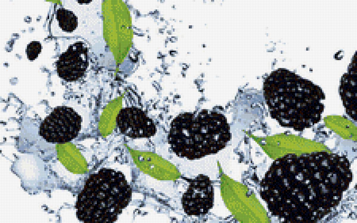 ежевика - предпросмотр