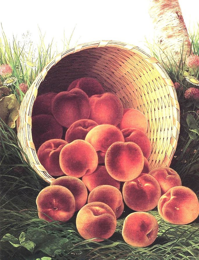 №1617566 - оригинал