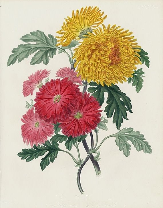 №1617619 - оригинал