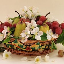 Схема вышивки «98765»