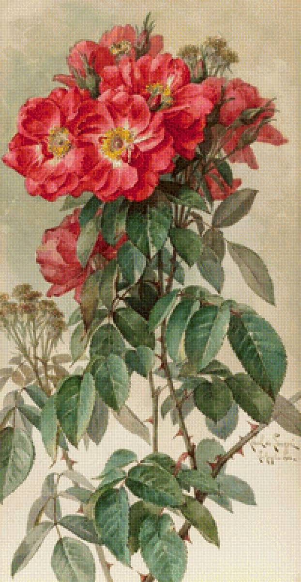 №1618010 - предпросмотр