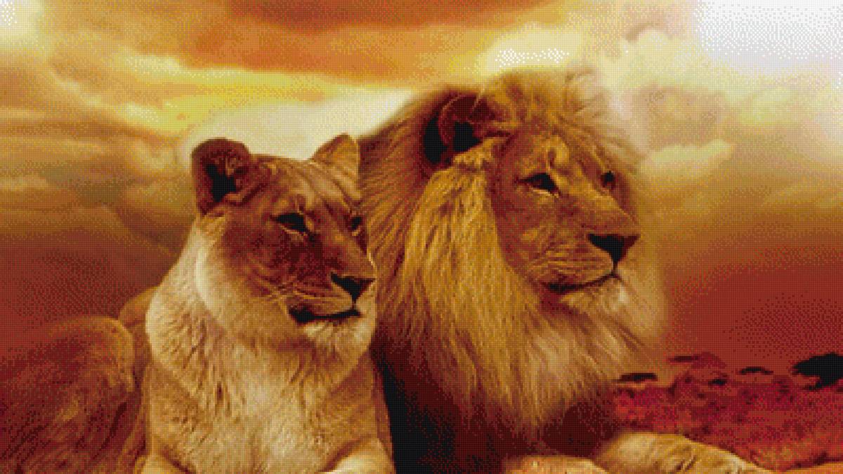 пара львов - львы - предпросмотр