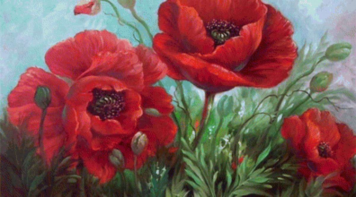 Маки - предпросмотр