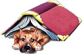 Амcтафа - аст, питбуль, ам. стафф булли, ам.стафф стафф стаффик, амстафф - оригинал