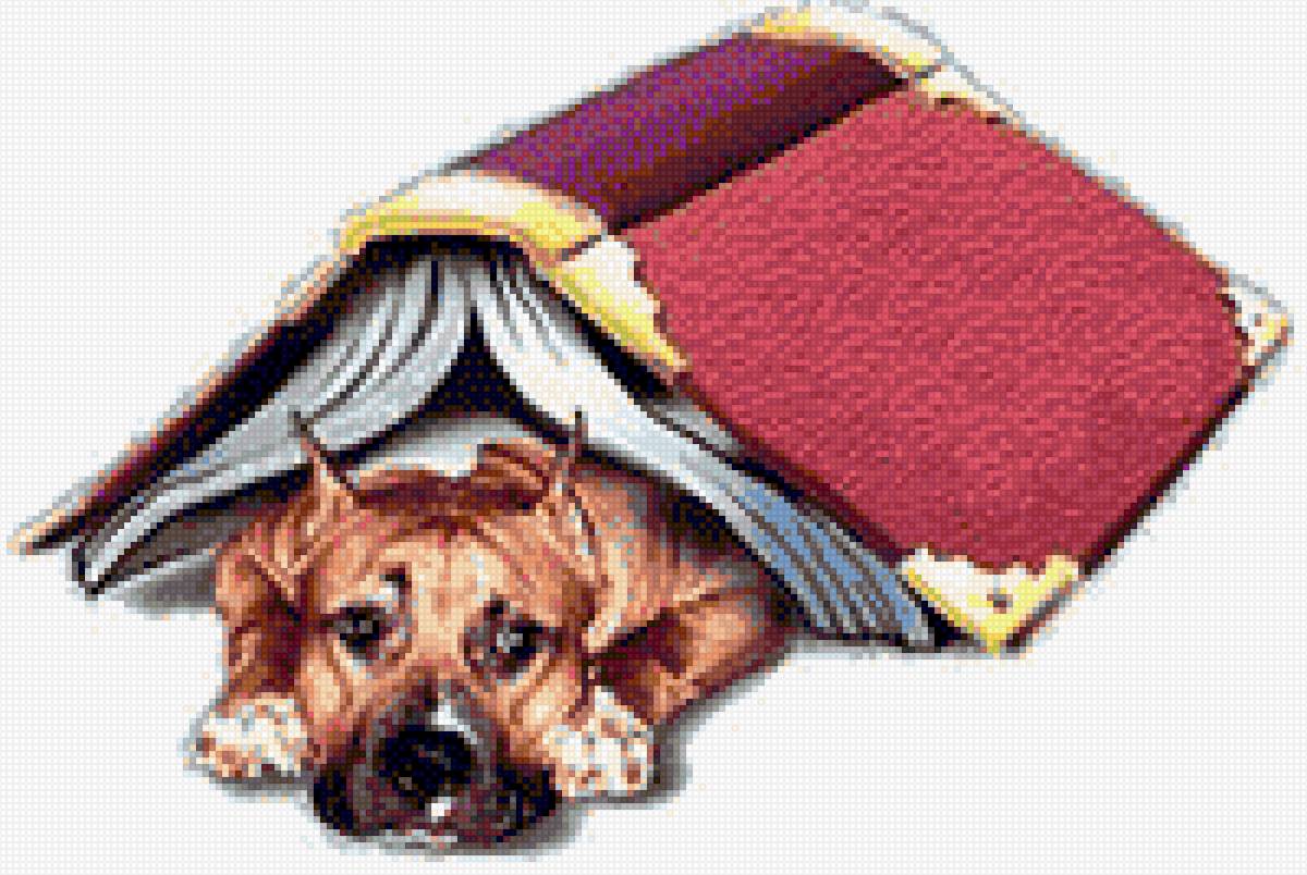 Амcтафа - ам.стафф стафф стаффик, питбуль, аст, амстафф, ам. стафф булли - предпросмотр