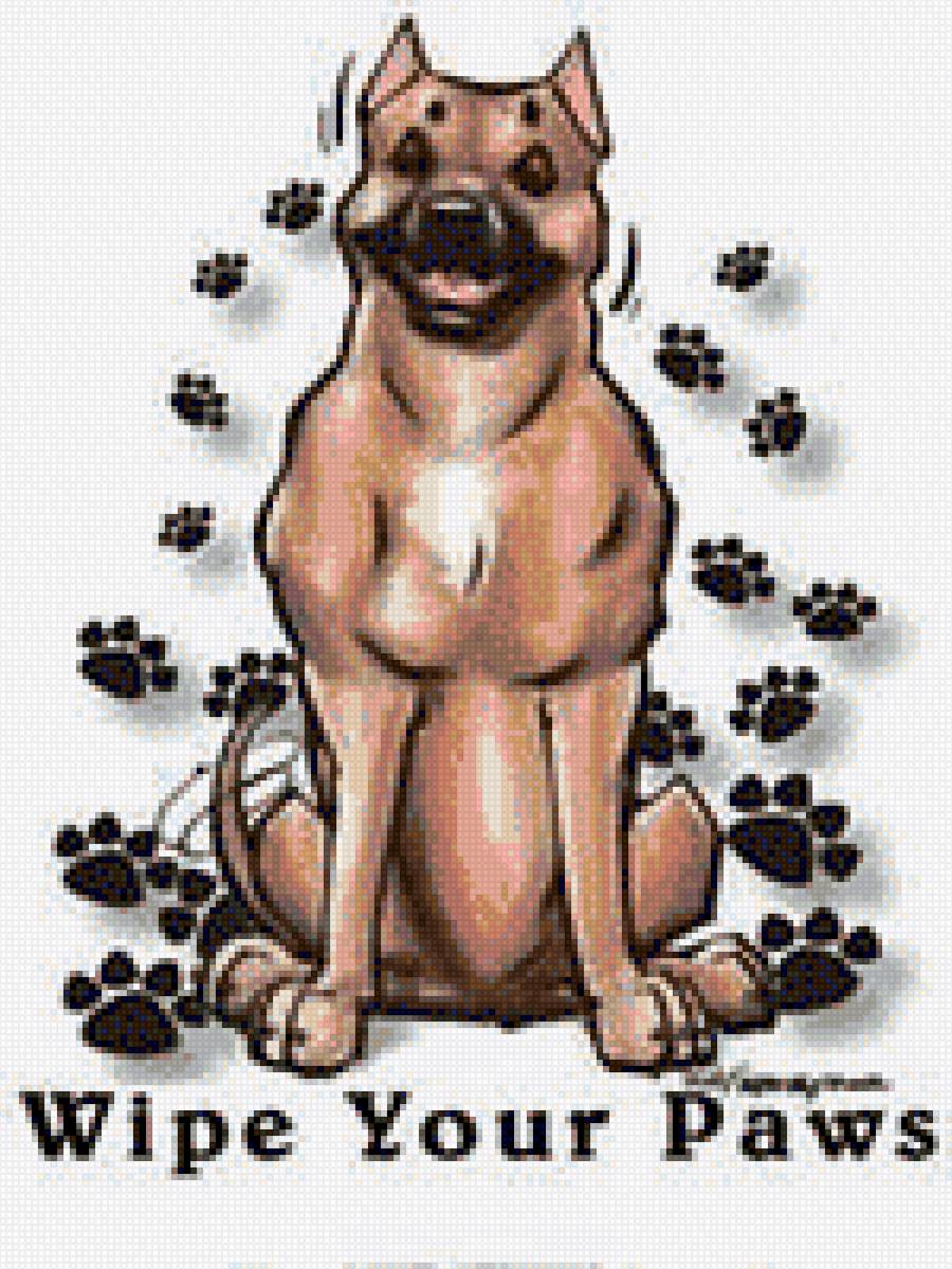 Амcтафа - ам. стафф булли, питбуль, амстафф, аст, ам.стафф стафф стаффик - предпросмотр