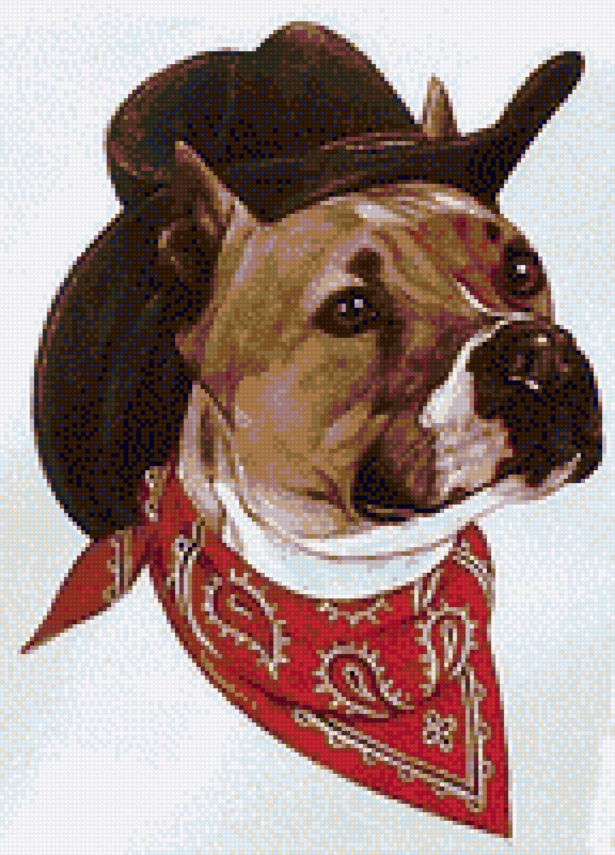 Амcтафа - аст, ам.стафф стафф стаффик, питбуль, амстафф, ам. стафф булли - предпросмотр