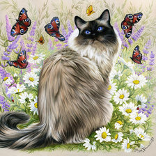 Схема вышивки «Кот с бабочками»
