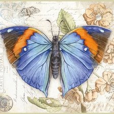 Оригинал схемы вышивки «бабочки 11» (№1618277)