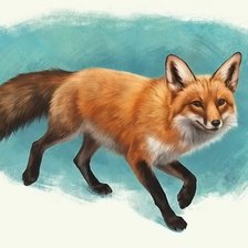 Схема вышивки «Лиса»