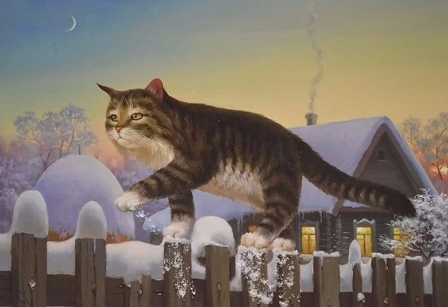 Кот - животные - оригинал