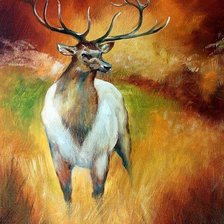 Схема вышивки «biały jeleń»