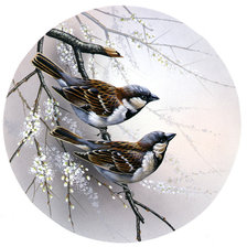 Схема вышивки «wróble»