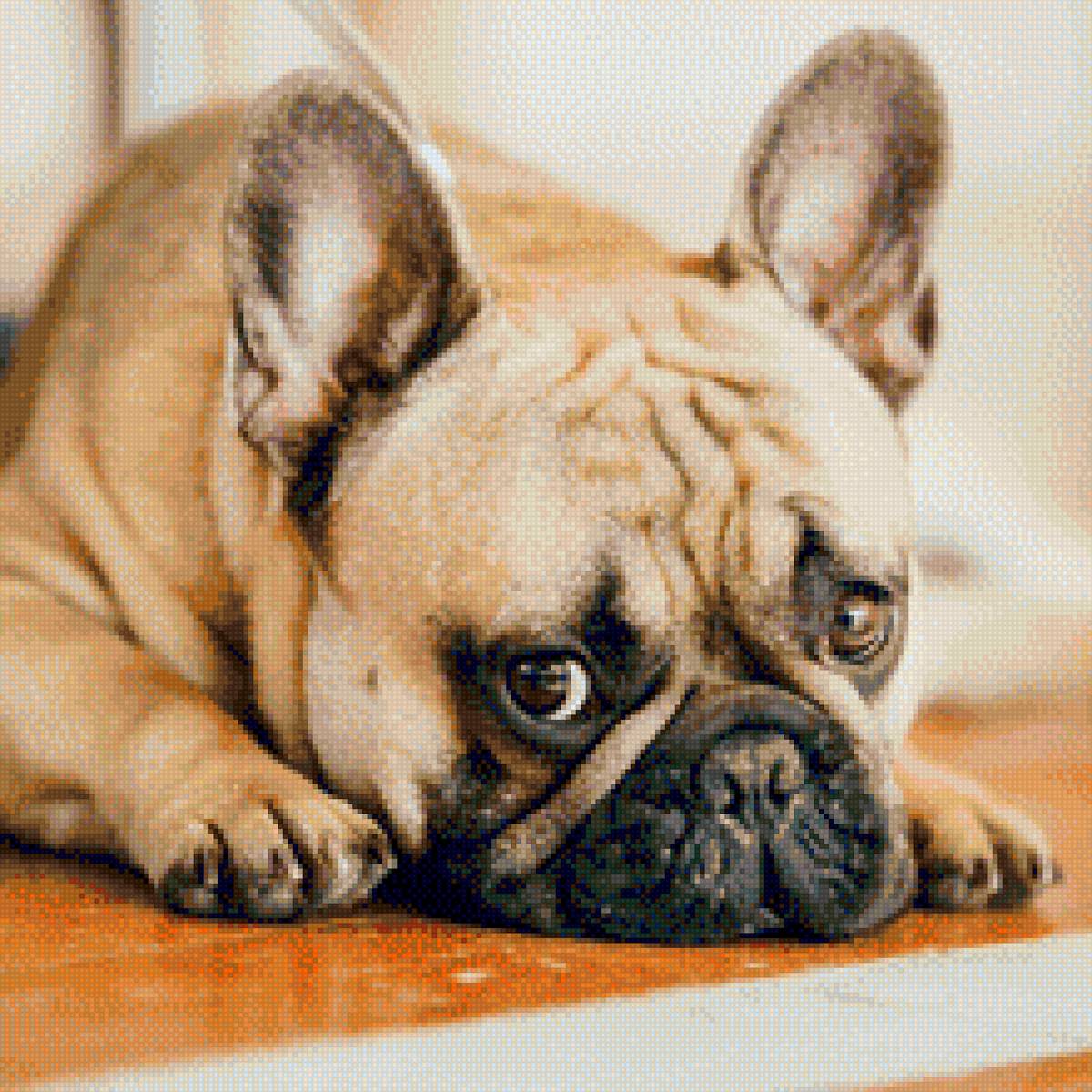 Бульдог - предпросмотр