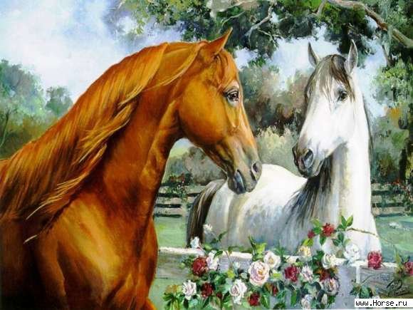 #10 - лошадь, природа - оригинал