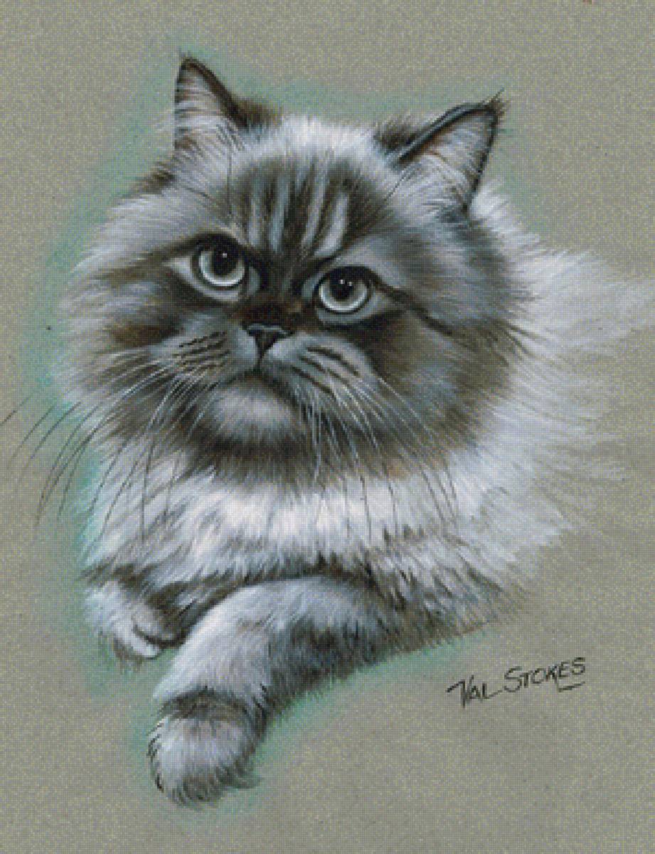 №1619135 - коты - предпросмотр