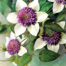 Схема вышивки «№1619278»