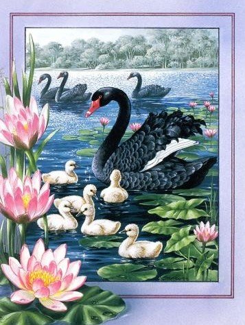 №1619291 - оригинал