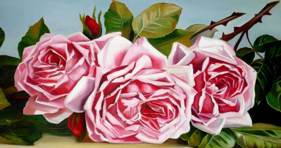 Розовые розы - розы, цветы - оригинал