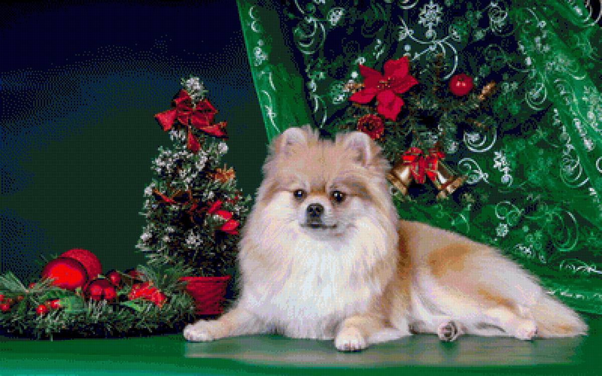 Новый год - животное - предпросмотр