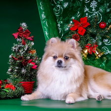 Схема вышивки «Новый год»