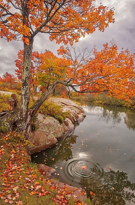 №1619464 - оригинал