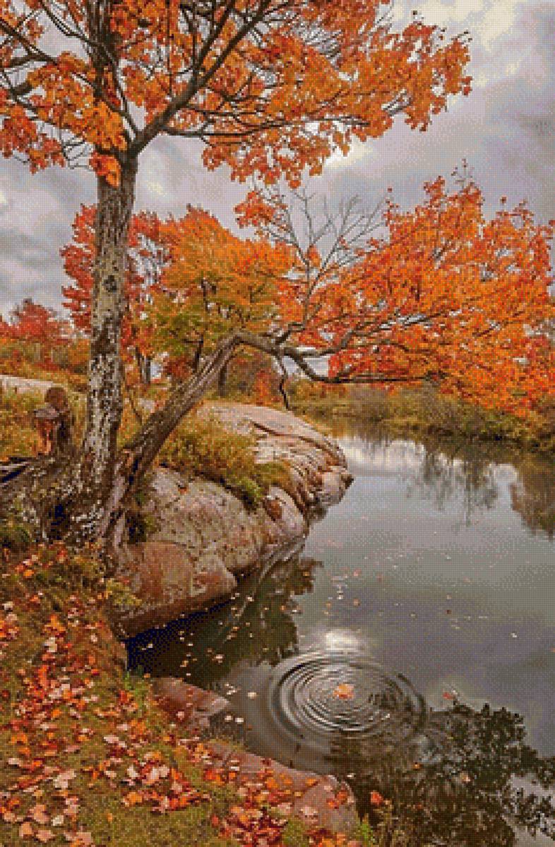 №1619464 - предпросмотр