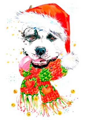 Амcтафа - питбуль, ам.стафф стафф стаффик, амстафф, ам. стафф булли, аст - оригинал