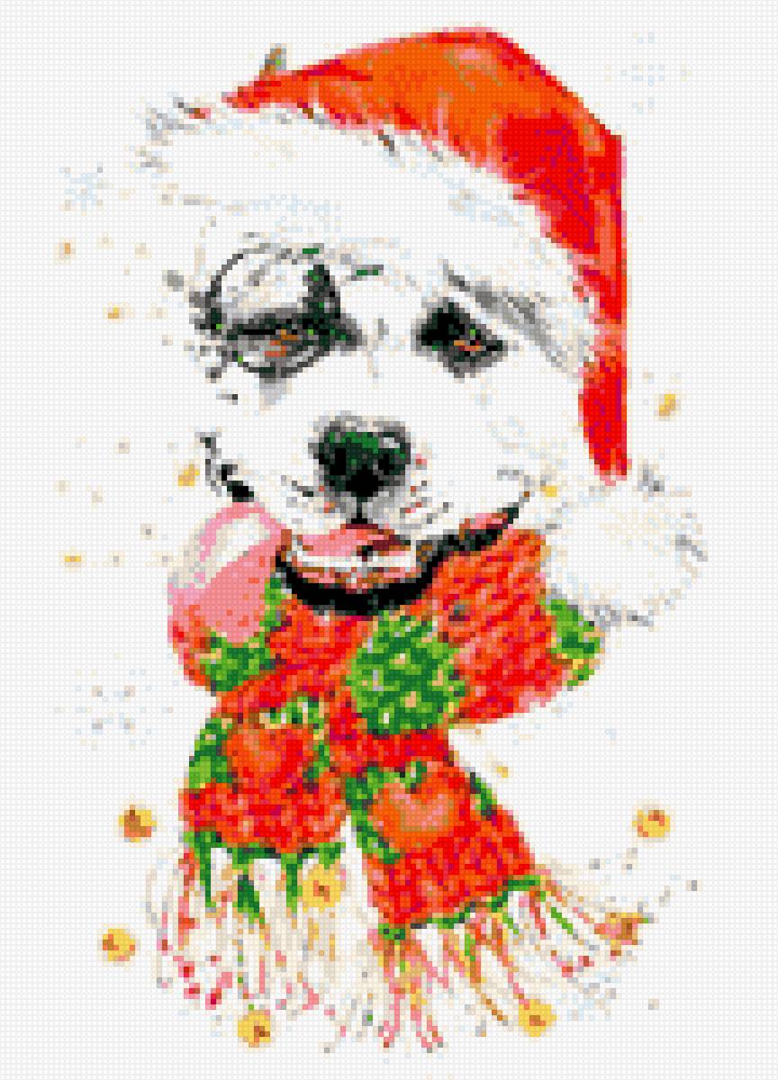 Амcтафа - ам. стафф булли, аст, питбуль, ам.стафф стафф стаффик, амстафф - предпросмотр