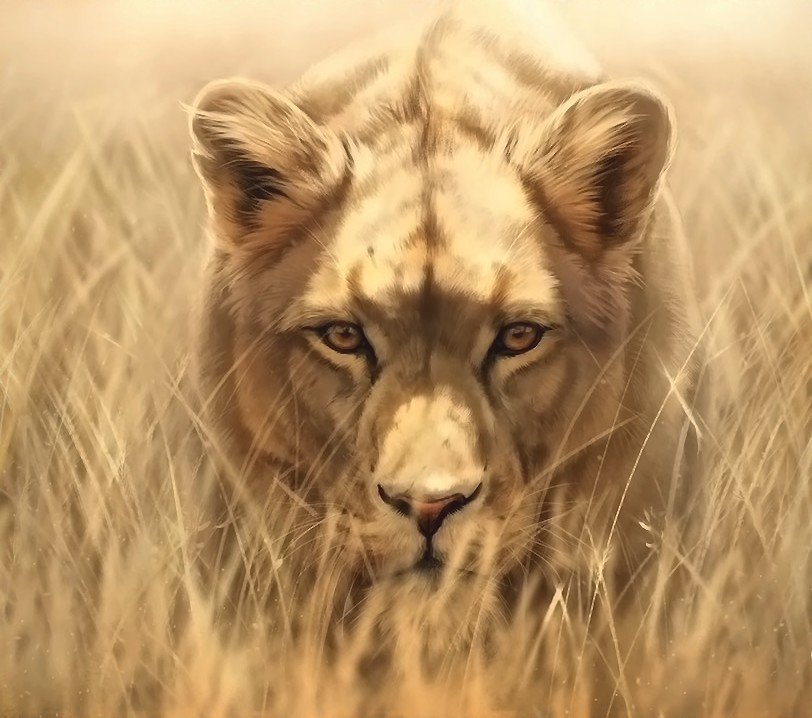 Лев - животные - оригинал