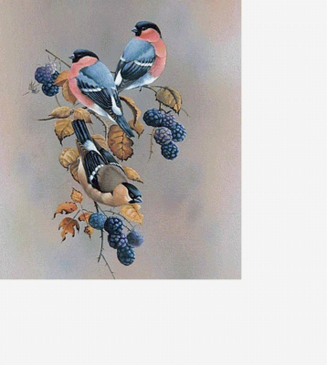 №1619824 - предпросмотр