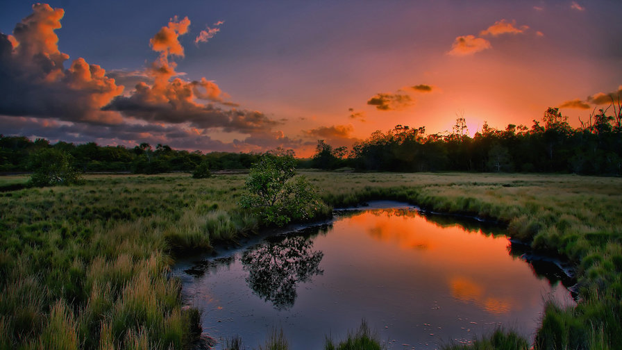 Пейзаж - малиновый закат.пейзаж.природа - оригинал