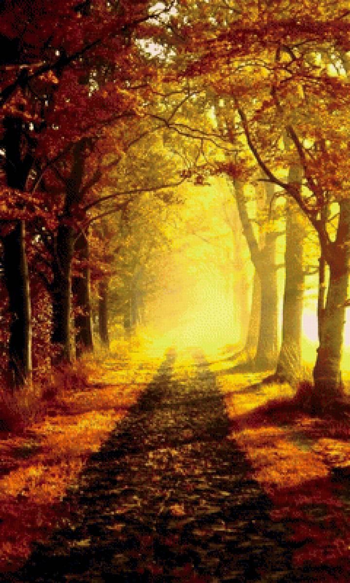 Пейзаж - осень.пейзаж.природа.парк.лес - предпросмотр