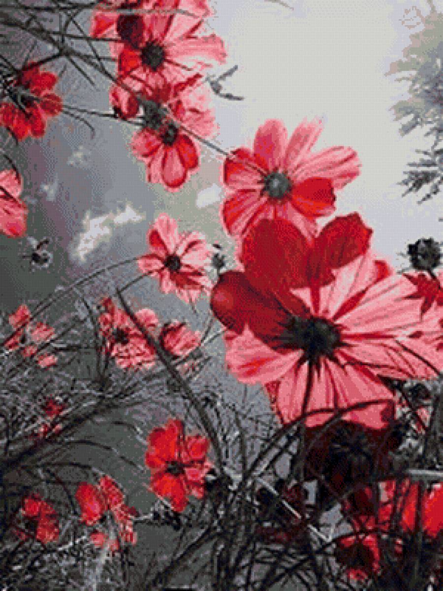 Цветы - пейзаж.природа.цветы - предпросмотр