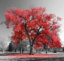 Оригинал схемы вышивки «Пейзаж» (№1620312)