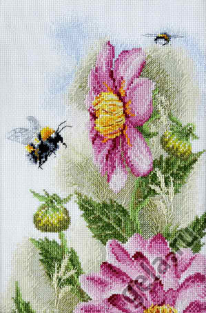 полет шмеля - лето, георгин - оригинал