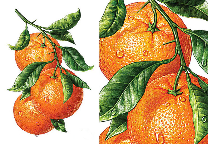 №1620494 - оригинал