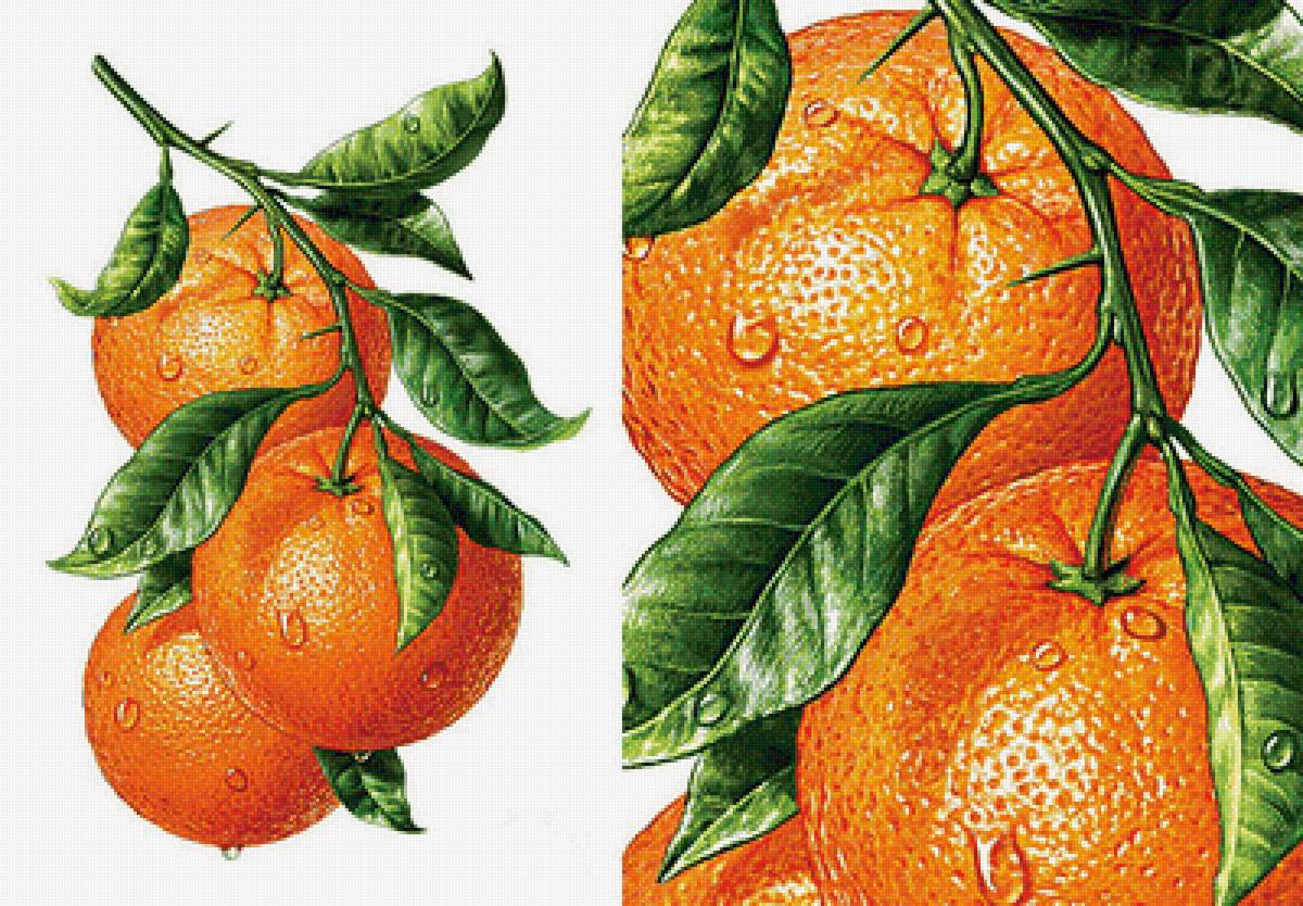 №1620494 - предпросмотр