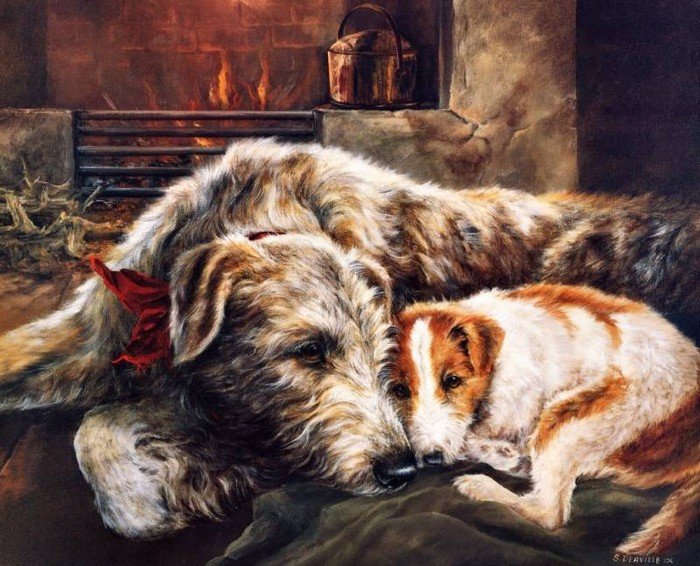 Собаки - животные - оригинал